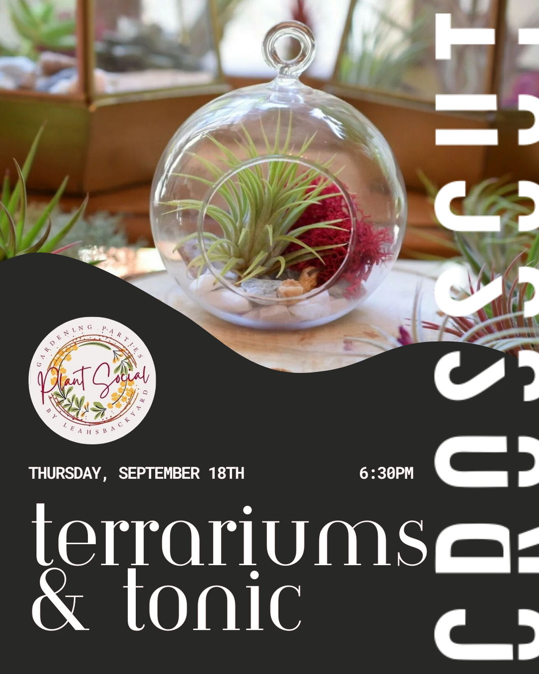 Plant Social: Terrariums & Tonic | September 18th | 6:30pm