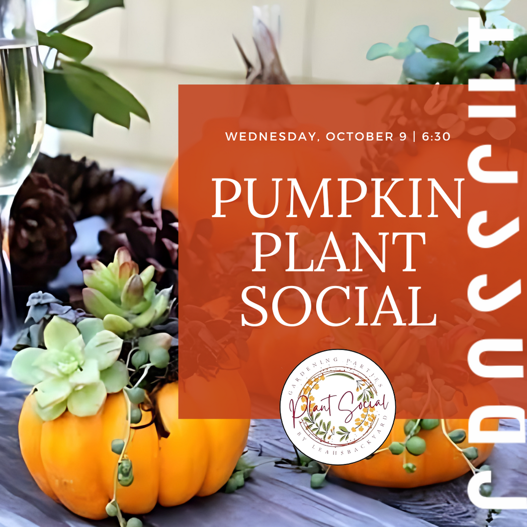 Fall Plant Social: Succulent Pumpkin  | Wednesday, October 9th @ 6:30 |