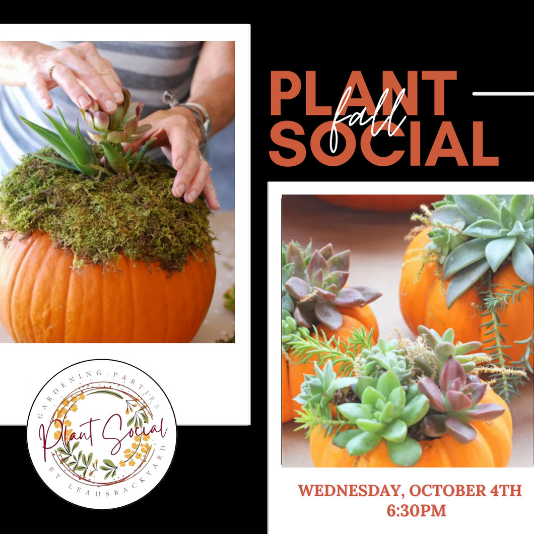 Fall Plant Social: Succulent Pumpkin  | Wednesday, October 4th @ 6:30 |