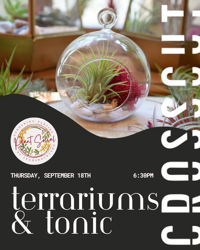 Plant Social: Terrariums & Tonic | September 18th | 6:30pm